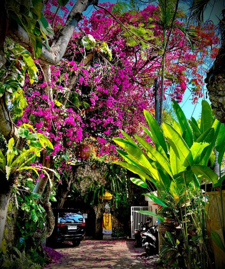 Exquisite Private Villa — Villa Sekala, Sanur, Se Bali Kültér fotó